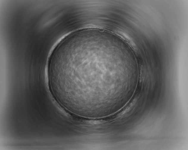 X0000094220796200711091255