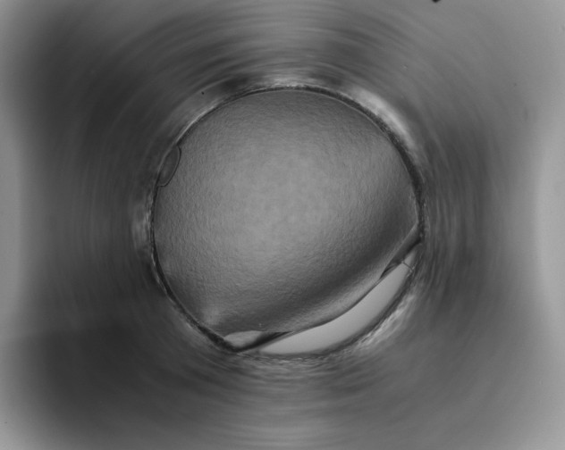 X0000094220801200711091255