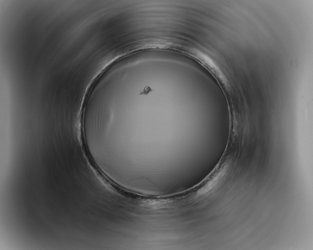 X0000094220802200711091255