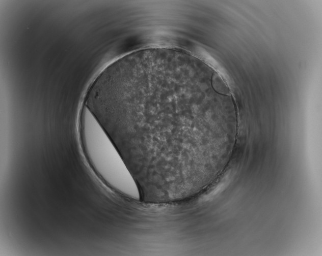 X0000094220803200711091255