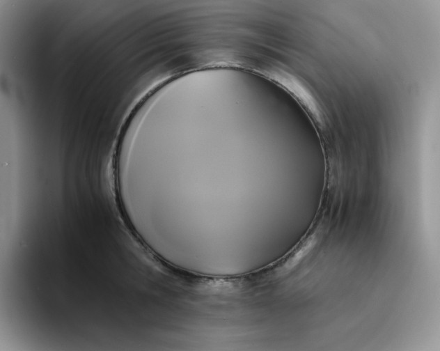 X0000094220806200711091255