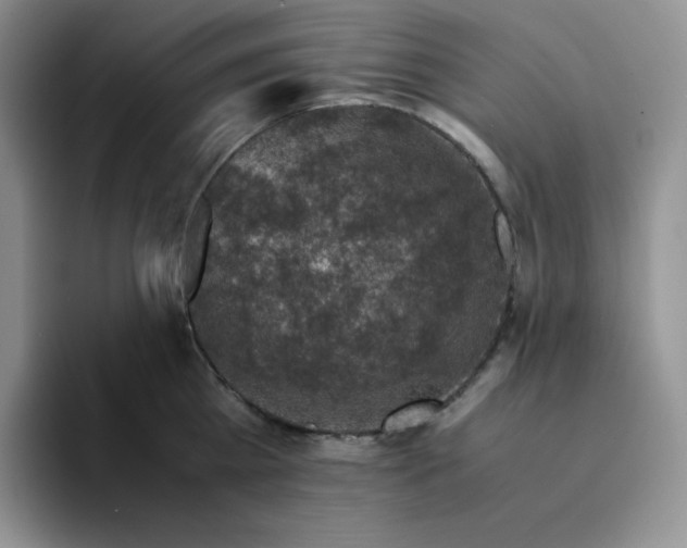 X0000094220809200711091255