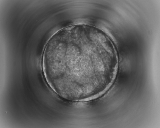 X0000094220810200711091255