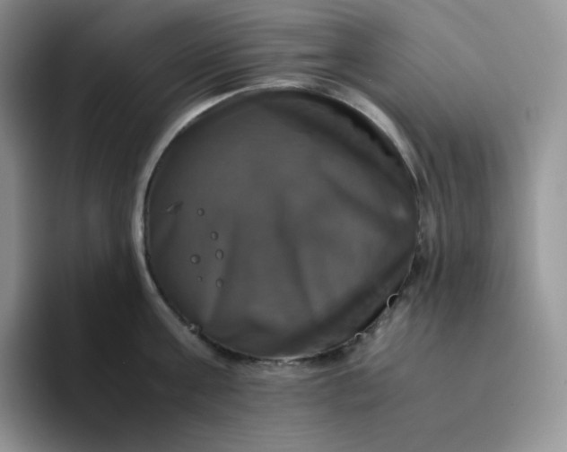 X0000094220811200711091255