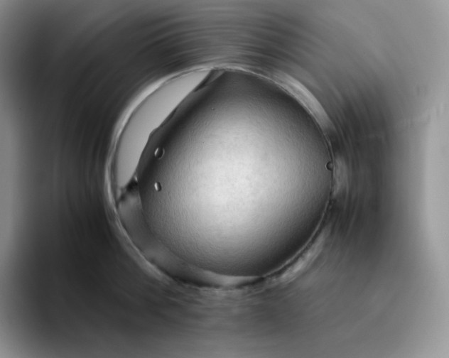 X0000094220812200711091255