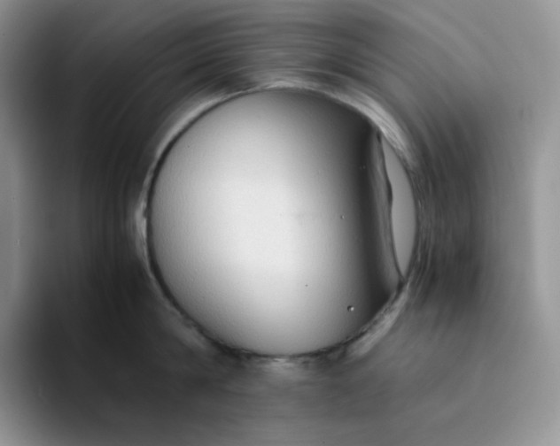 X0000094220814200711091255