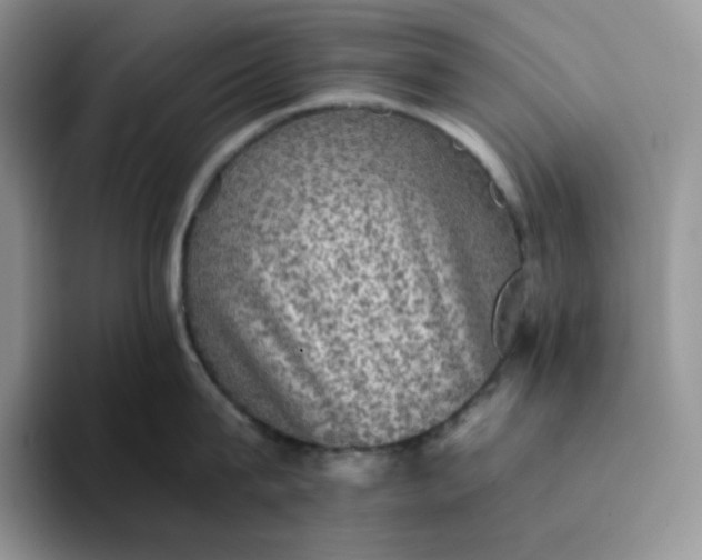 X0000094220815200711091255