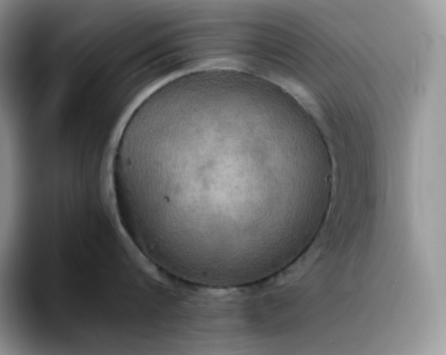 X0000094220816200711091255