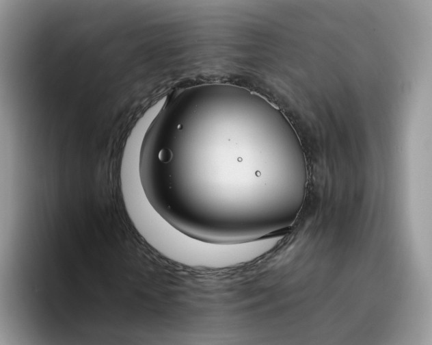 X0000094220818200711091254