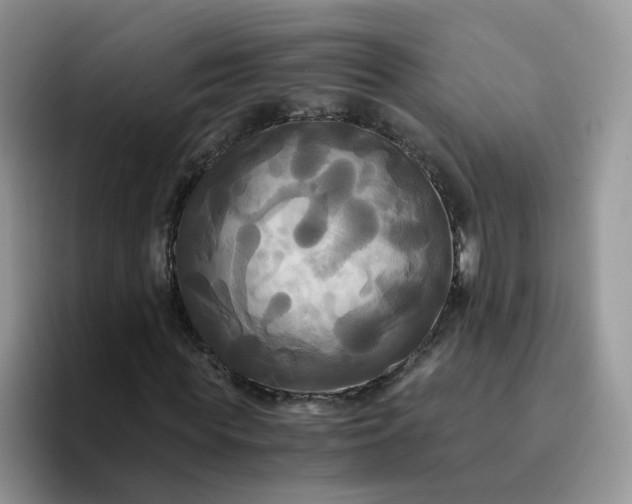 X0000094220819200711091254