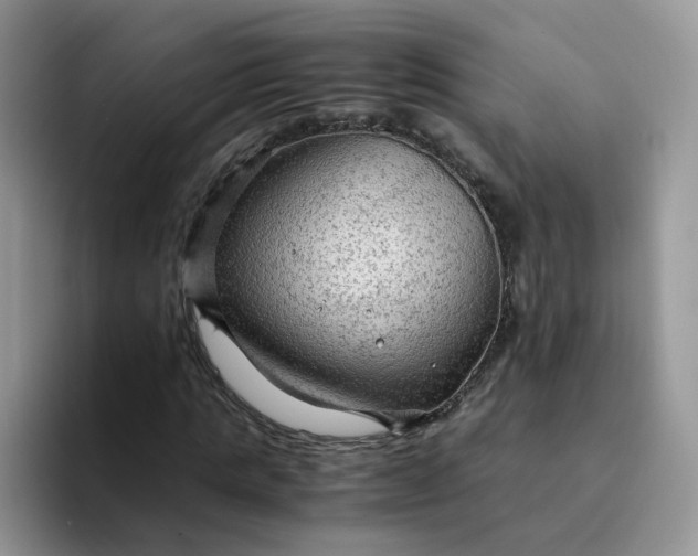 X0000094220821200711091254