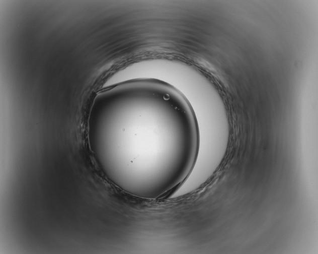 X0000094220822200711091254