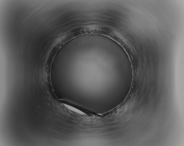 X0000094220823200711091254