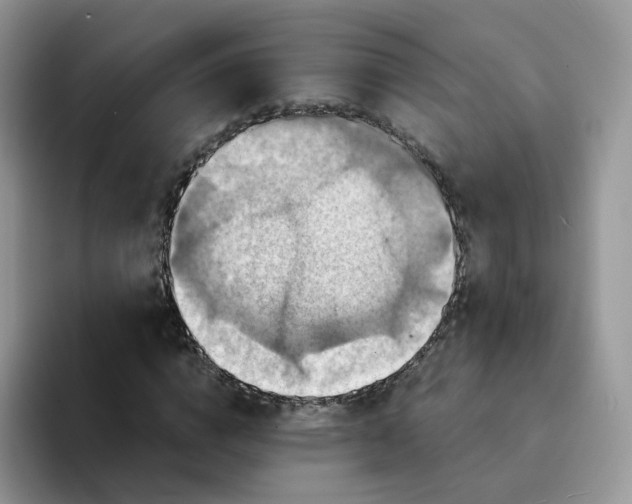 X0000094220824200711091254