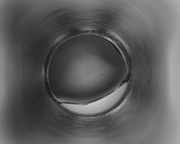 X0000094220825200711091254