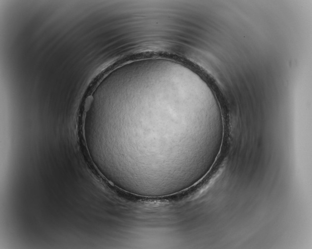 X0000094220826200711091254