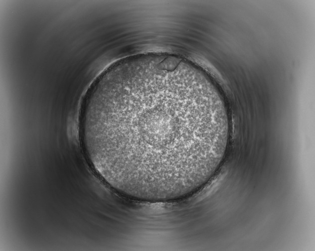 X0000094220828200711091254