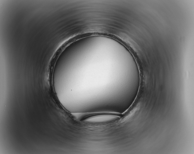 X0000094220830200711091254