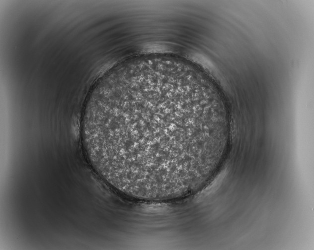 X0000094220833200711091254