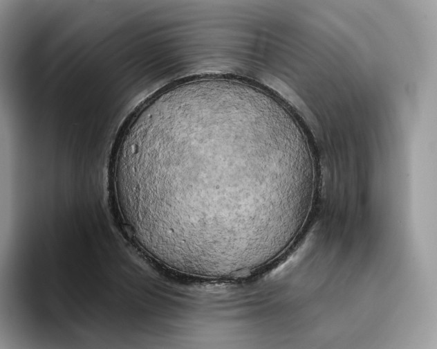 X0000094220834200711091254