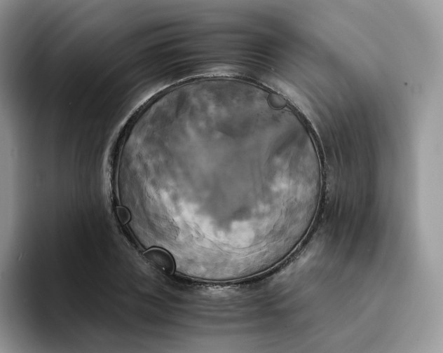 X0000094220835200711091254