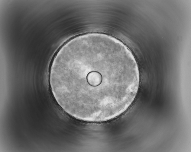 X0000094220836200711091254