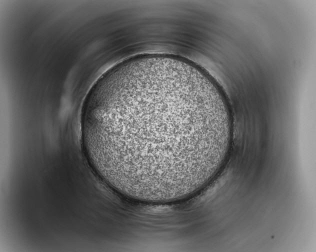 X0000094220837200711091254