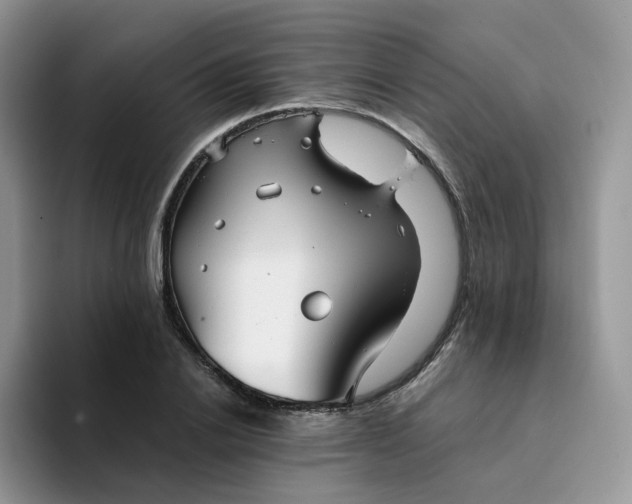 X0000094220838200711091254