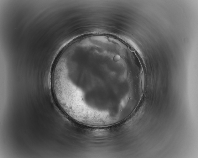 X0000094220839200711091254