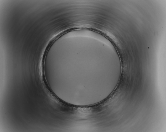 X0000094220840200711091254