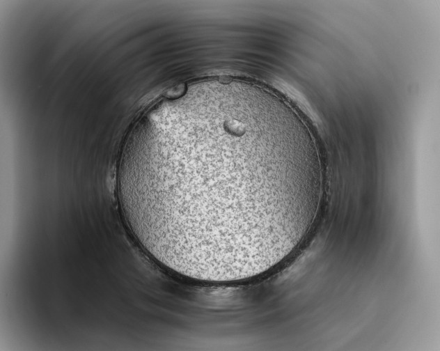 X0000094220841200711091254