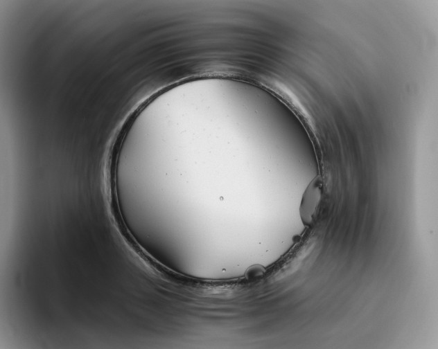 X0000094220843200711091254