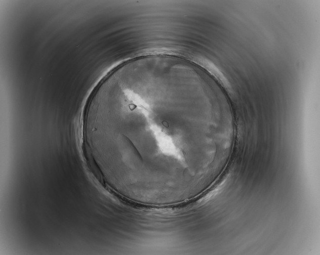 X0000094220844200711091254