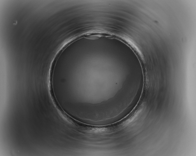 X0000094220845200711091254