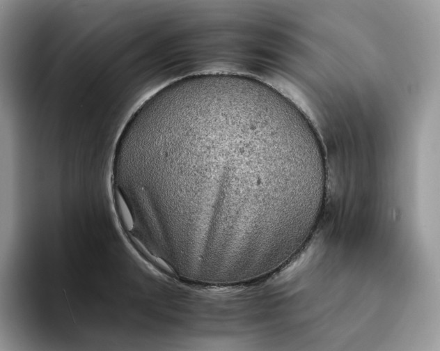 X0000094220847200711091254