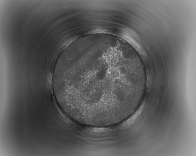 X0000094220849200711091254