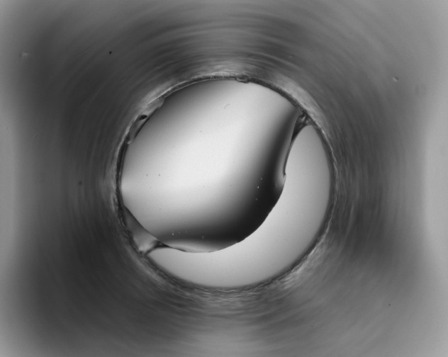 X0000094220850200711091254