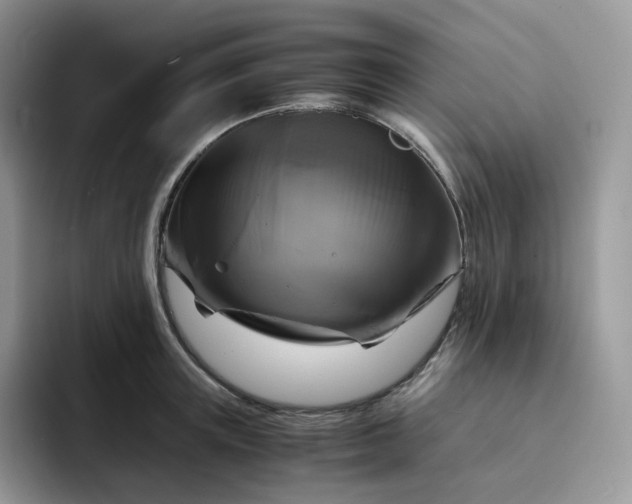 X0000094220851200711091254