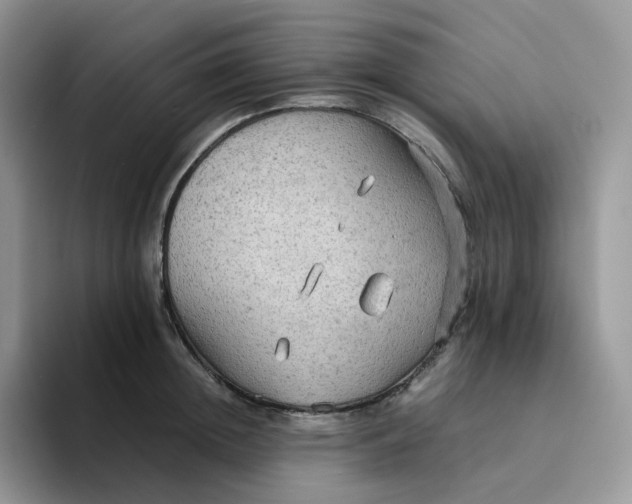 X0000094220852200711091254