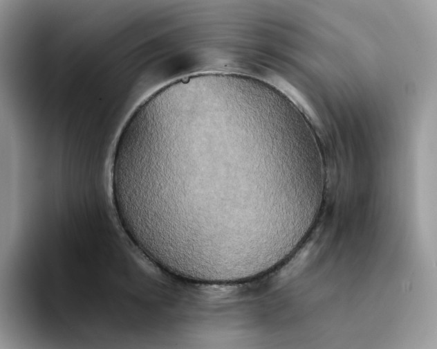 X0000094220854200711091254