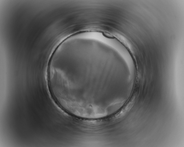 X0000094220855200711091254