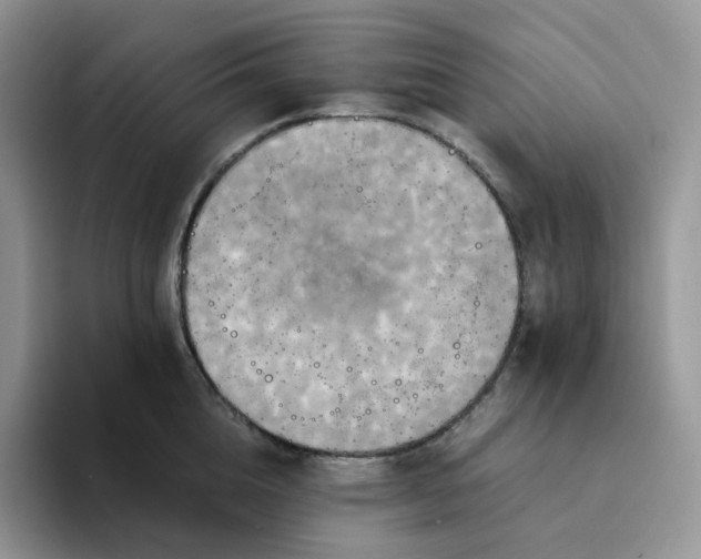 X0000094220856200711091255