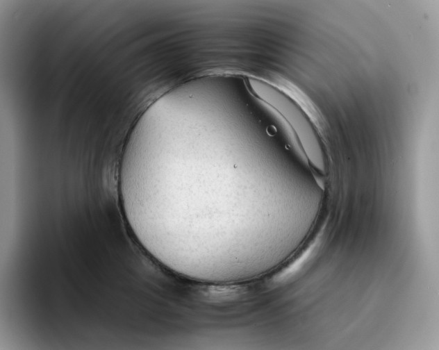 X0000094220857200711091255