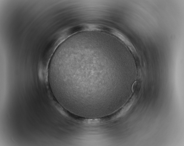 X0000094220858200711091255