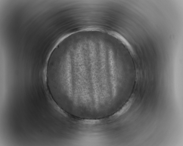 X0000094220860200711091255