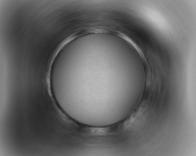 X0000094220861200711091255