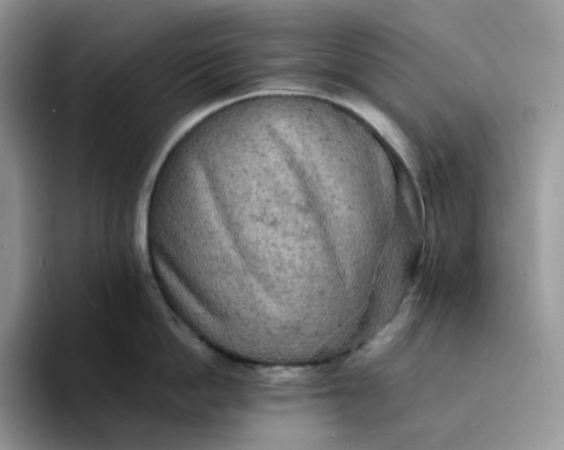 X0000094220862200711091255