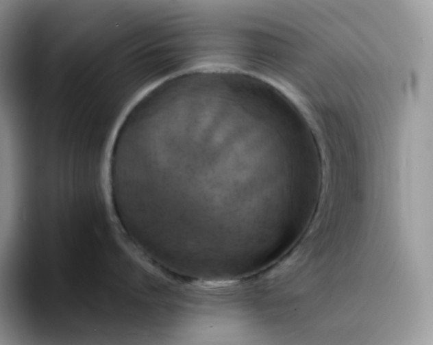 X0000094220864200711091255