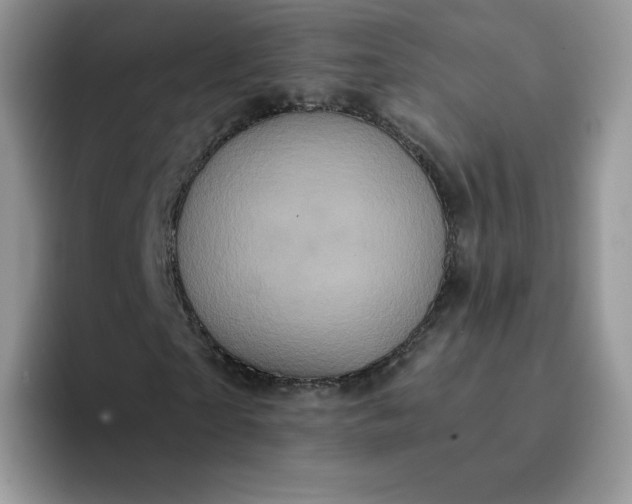 X0000094220865200711091254