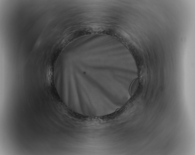 X0000094220866200711091254